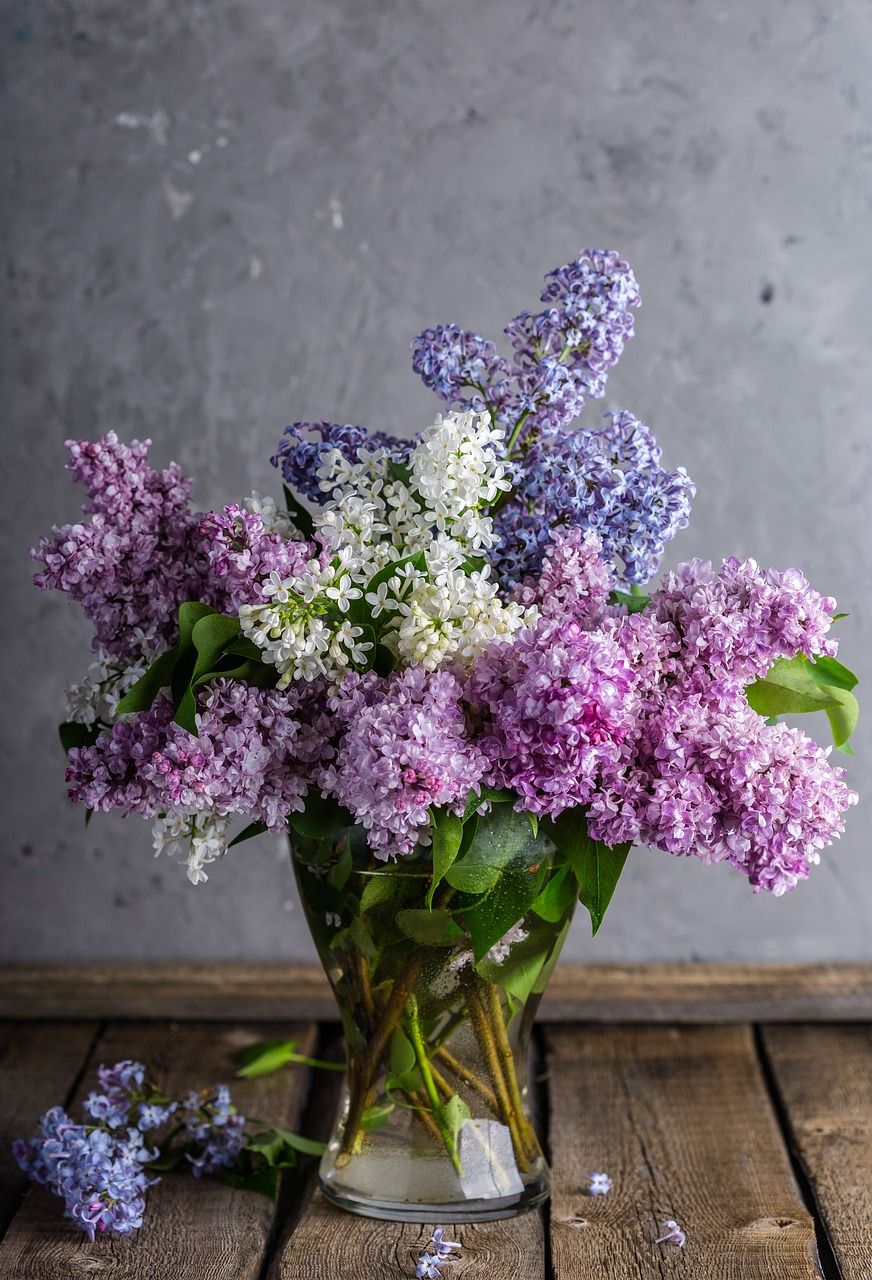 Blomster i Tønsberg: Skaper stemning i hverdagen